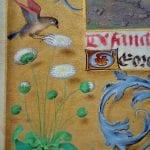 Unknown,  Donne Hours: detail of the border decoration,  ca. 1480,  Louvain-la-Neuve, Archives de l'Université