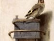  The Goldfinch,   Carel Fabritius, 1654,  Mauritshuis, The Hague