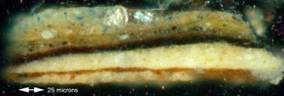 Cross section of a sample from the foreground lea,