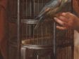 Detail of Young Woman Holding a Parrot showing the birdcage, an area that represents Dou's working method of painting in sequential planes from the rear to the front