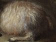 Detail of Goat in a Landscape showing the complex brushwork achieved in rendering the plushness of wavy hair