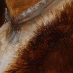 Detail of Portrait of a Lady in Profile showing the fur trim painted by dragging the brush back and forth in the adjacent paint