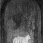 Infrared image superimposed on X-radiograph with ,