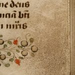Stereomicrophotograph of fol. 90r,  Koninklijke Bibliotheek, The Hague