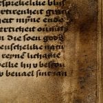 Stereomicrophotograph of fol. 222r,  Koninklijke Bibliotheek, The Hague