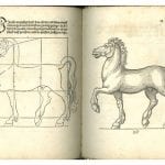 Sebald Beham,  Horse Walking to the Left, ca. 1528, from Treati, 1528,  The British Museum, London
