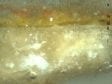 Fig. 15b Cross-section of sample RMA-AW-169/16 showing: i) the chalk/glue ground, ii) a locally applied lead white underlayer (2–5µ), iii) a yellow glaze (3–10 µ), iv) an opaque yellow containing lead white and earth pigments (up to 15 µ), v) varnish and retouching. Sample taken and photographed at a magnification of 200x by Arie Wallert.