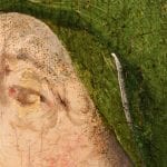Fig. 26b Detail of fig. 26a showing blotted green glaze under the abraded flesh paint. The man’s eye has been retouched.