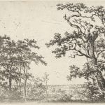 Adriaen Verboom (Rotterdam ca. 1628–ca. 1670 Amsterdam?),  Trees in a Bog,  ca. 1663,
