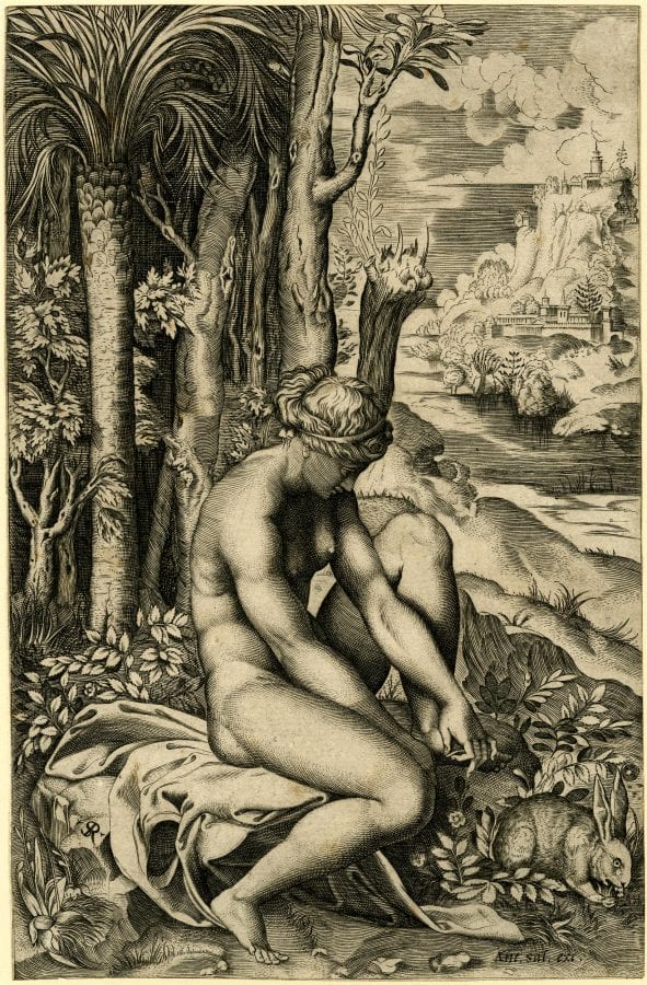 Marco Dente Da Ravenna, Venus Wounded by the Rosebush (engraving), 1515-1520, The British Museum, London