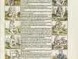 Michael Wolgemut Workshop, Marvels of the East, from Hartman Schedel, Weltchronik (Nuremberg: Anton Koberger, 1493), woodcut, Detroit Institute of Arts, Detroit
