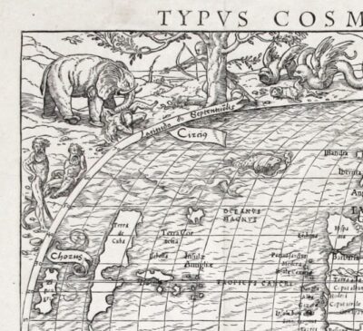 Holbein World Map (fig. 1), detail of elephant