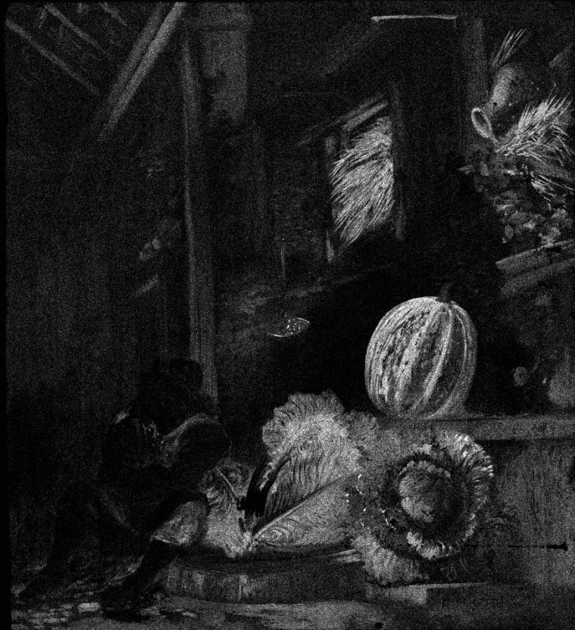 MA-XRF distribution map of the original painting Ryckhals, Boy Sleeping in a Barn (fig. 5 ); lighter tones are areas with a high tin signal (SnL)