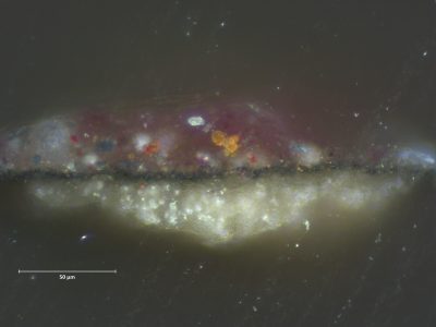 Cross-section of Ryckhals, Boy Sleeping in a Barn (fig. 5), visible light (dark field) from the large red cabbage in the lower right corner