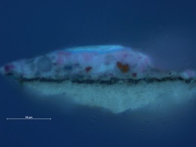 Cross-section of Ryckhals' Boy Sleeping in a Barn (fig. 5), in ultraviolet light from the large red cabbage in the lower right corner