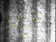 Point-marked Foolscap with Seven-Pointed Collar. Watermark scanned from entry 502 in Laurentius, Watermarks 1650–1700, 242,
