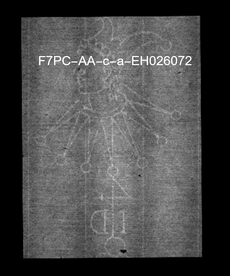 Overlay GIF of marked watermark from fig. 10 and marked watermark of Dietz entry EH 026072, Foolscap with Seven-Pointed Collar AA.c.a