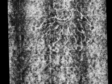 Overlay GIF of marked watermark from Laurentius Watermarks entry 408 and marked watermark from Hinterding Rembrandt, 3:278 of Foolscap with Seven-Pointed Collar from entry O.a