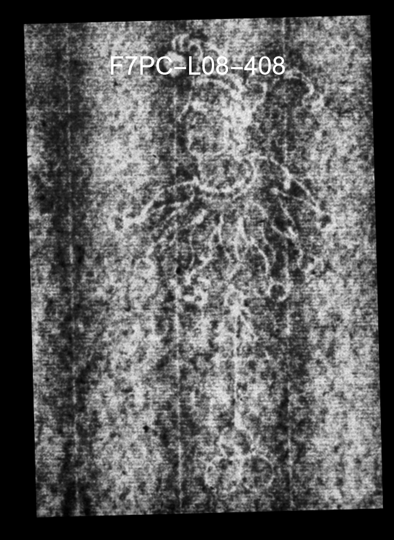 Overlay GIF of marked watermark from Laurentius Watermarks entry 408 and marked watermark from Hinterding Rembrandt, 3:278 of Foolscap with Seven-Pointed Collar from entry O.a
