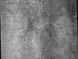Overlay GIF of marked Foolscap with Seven-Pointed Collar watermarks from Dietz Dataset entries K.a.b. (EH026061) and K.a.c. (EH027005)