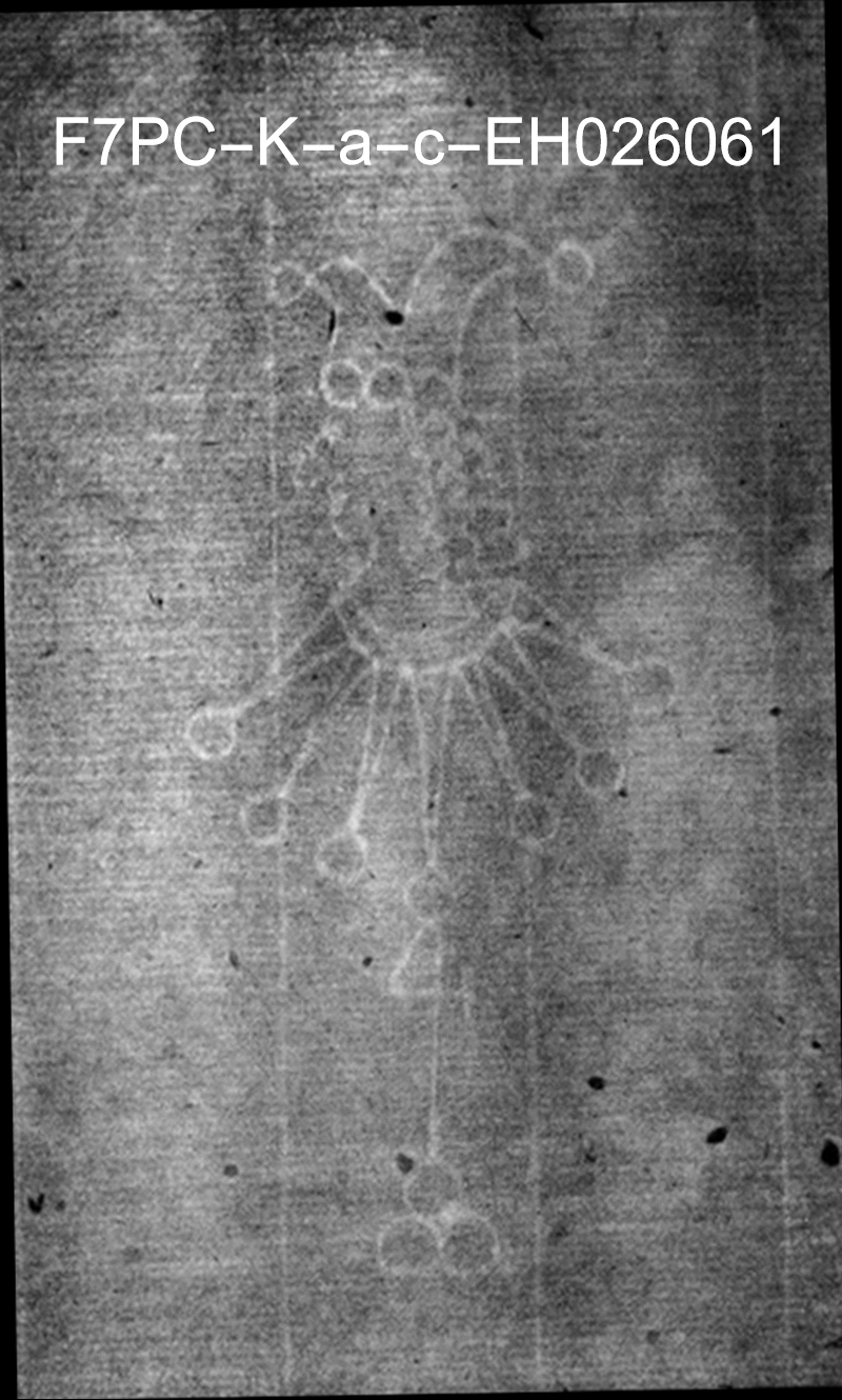Overlay GIF of marked Foolscap with Seven-Pointed Collar watermarks from Dietz Dataset entries K.a.b. (EH026061) and K.a.c. (EH027005)