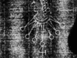 Overlay GIF of marked watermarks from Laurentius Watermarks entries 508 and 509
