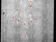Overlay GIF with marked watermark locations (indicated with red dots) of Foolscap with Five-Pointed Collar watermarks H.b.a and H.b.b. from Dietz Dataset entries EH 026097 and EH026096
