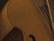 Fig 75 - Vermeer, A Woman Seated at a Virginal (fig. 65), detail of viola da gamba
