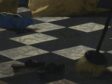 Fig 80 - Unidentified artist, The Love Letter (fig. 57), detail of marble floor